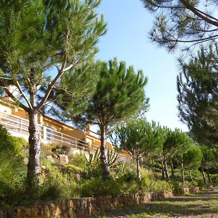 Quinta Raposeiros Apartment Santo Isidoro Bagian luar foto