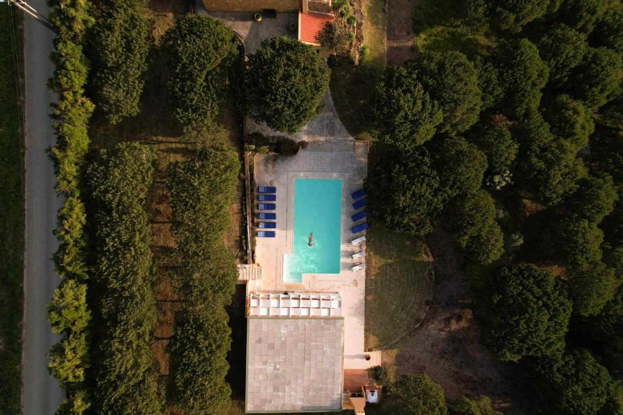 Quinta Raposeiros Apartment Santo Isidoro Bagian luar foto