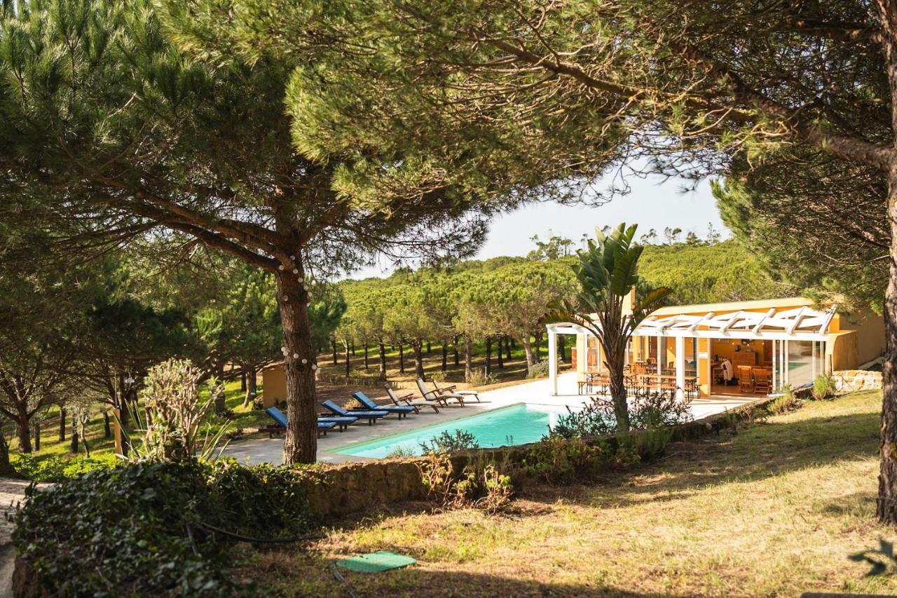 Quinta Raposeiros Apartment Santo Isidoro Bagian luar foto