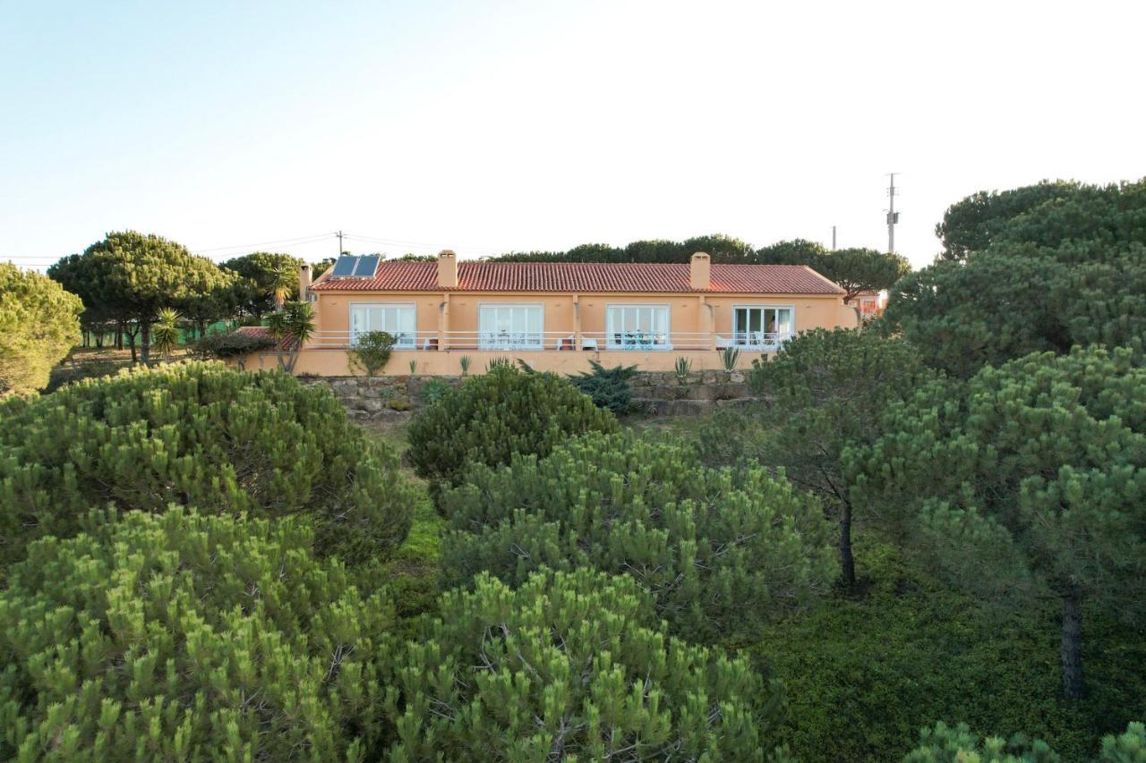 Quinta Raposeiros Apartment Santo Isidoro Bagian luar foto