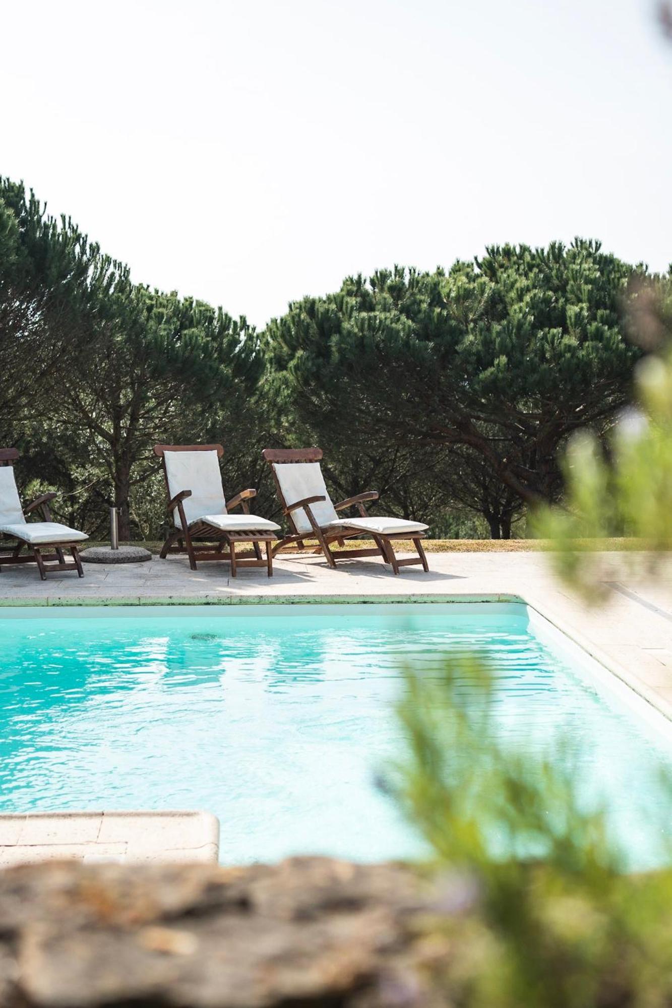 Quinta Raposeiros Apartment Santo Isidoro Bagian luar foto