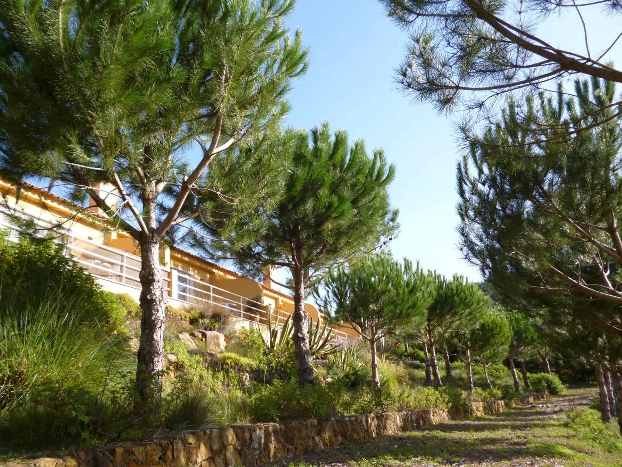 Quinta Raposeiros Apartment Santo Isidoro Bagian luar foto