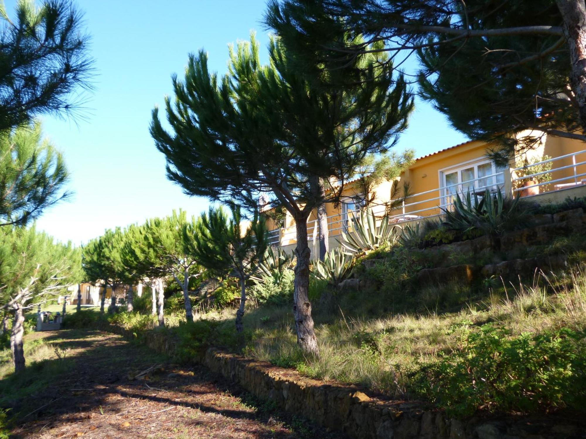 Quinta Raposeiros Apartment Santo Isidoro Bagian luar foto