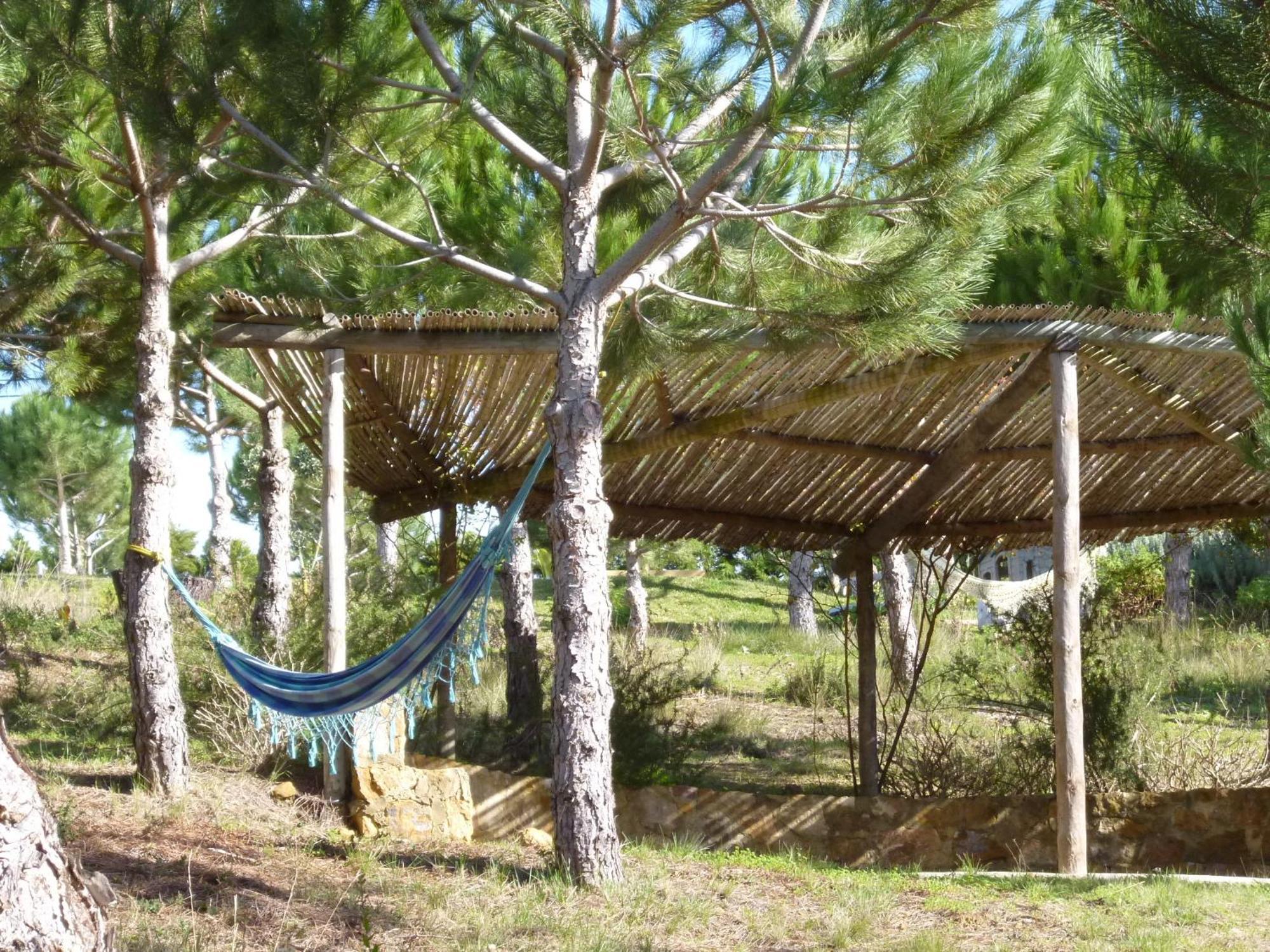 Quinta Raposeiros Apartment Santo Isidoro Bagian luar foto