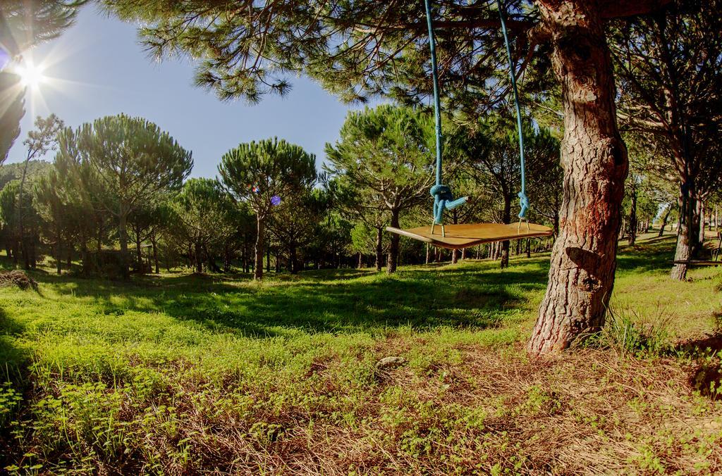 Quinta Raposeiros Apartment Santo Isidoro Bagian luar foto